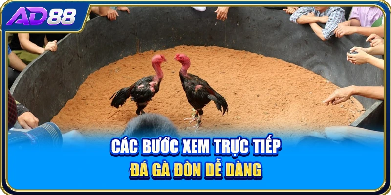 Các bước xem trực tiếp đá gà đòn dễ dàng