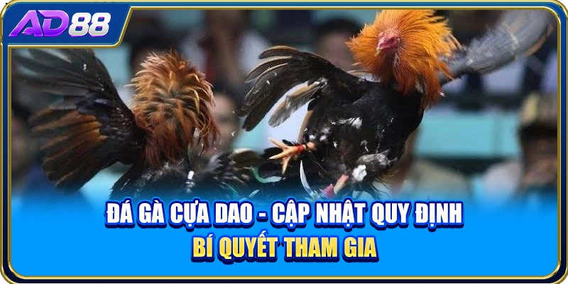 Đá Gà Cựa Dao - Cập Nhật Quy Định, Bí Quyết Tham Gia
