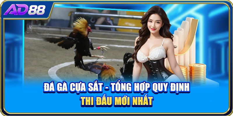 Đá Gà Cựa Sắt - Tổng Hợp Quy Định Thi Đấu Mới Nhất