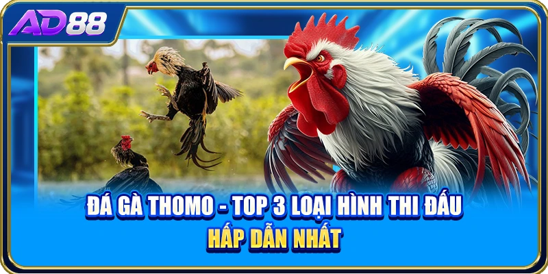 Đá Gà Thomo - Top 3 Loại Hình Thi Đấu Hấp Dẫn Nhất