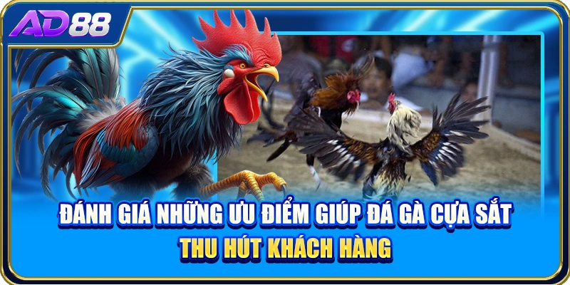 Đánh giá những ưu điểm giúp đá gà cựa sắt thu hút khách hàng