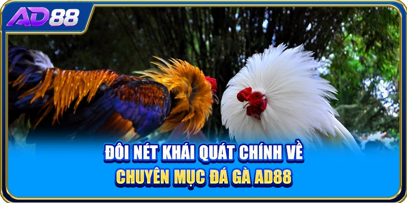 Đôi nét khái quát chính về chuyên mục đá gà AD88