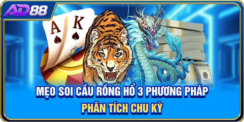 Mẹo Soi Cầu Rồng Hổ - 3 Phương Pháp Phân Tích Chu Kỳ
