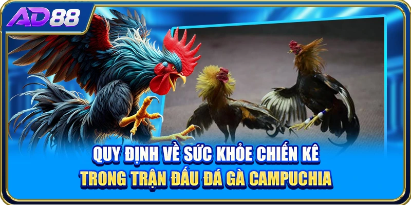 Quy định về sức khỏe chiến kê trong trận đấu đá gà Campuchia