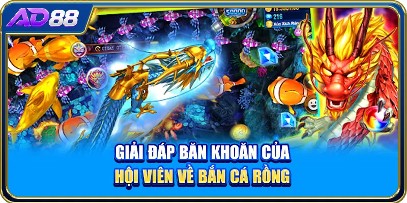 Giải đáp băn khoăn của hội viên về bắn cá rồng